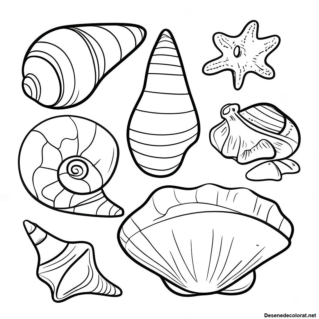 Pagina de colorat Pagini De Colorat Cu Scoici Realiste Din Ocean imprimabilă gratuit din colecția Natură — desen contur alb-negru pentru copii și adulți.