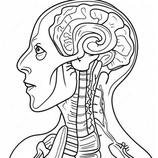 Anatomie Și Fiziologie Desene De Colorat