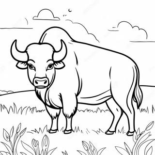 Pagina De Colorat Cu Bivolul Majestuos Intr Un Camp 107640 44755