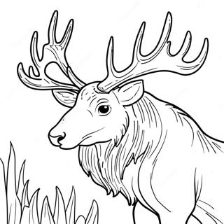 Elk Desene De Colorat