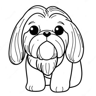 Shih Tzu Desene De Colorat