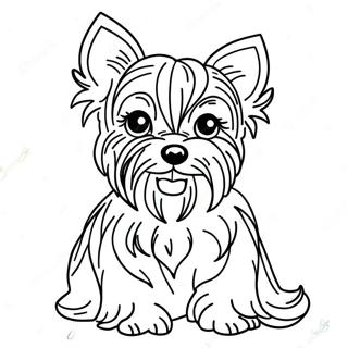 Yorkie Realist Desene De Colorat