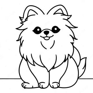 Pomeranian Desene De Colorat