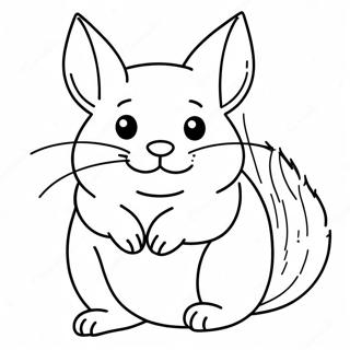 Chinchilla Desene De Colorat