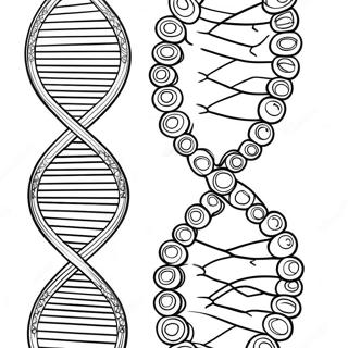 Pagini De Colorat Cu Structura Adn 129942-63010