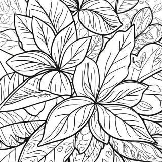 Pagini De Colorat Cu Frunze De Busuioc Detaliate 134495 66556