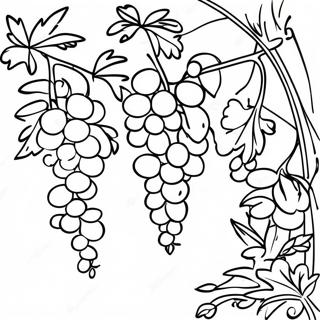 Vine Desene De Colorat