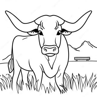 Pagina De Colorat Vite Din Texas Longhorn 46422 10164
