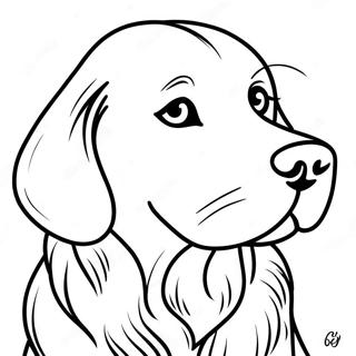 Pagini De Colorat Cu Golden Retriever 67431-14747