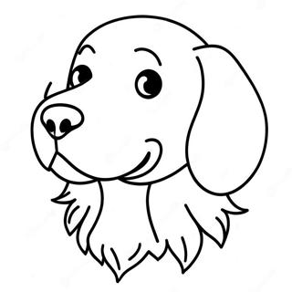 Pagini De Colorat Cu Golden Retriever 67431-14748