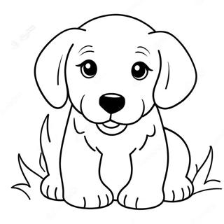 Pagini De Colorat Cu Catelus Golden Retriever Dragut 67433 14753