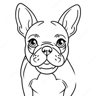 Bulldog Francez Desene De Colorat