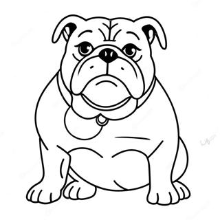 Bulldog Desene De Colorat