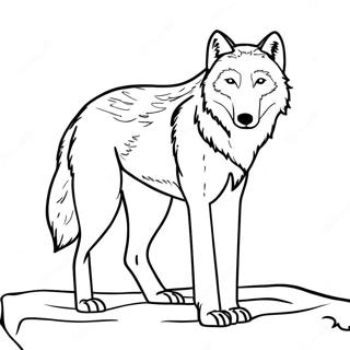 Pagini De Colorat Cu Lupul Elegant Din Arctic 83345 24677
