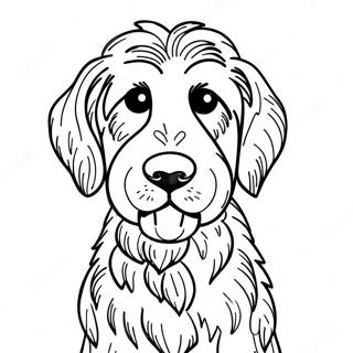 Goldendoodle Desene De Colorat