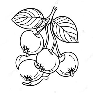 Cirese Pe O Ramura Pentru Colorat 87547-28040