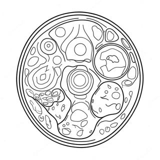 Pagini De Colorat Cu Diagrama Celulei Vegetale 92194-31883
