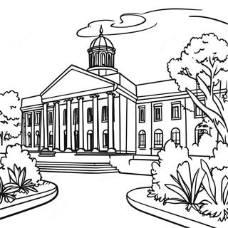 Lsu Pagini de colorat